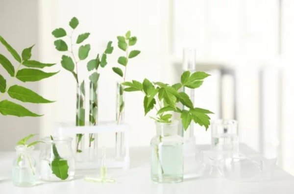 Image: Jak Wintex Ultra Pomoże Ci Przeciwdziałać Zimowemu Zachorowaniu?